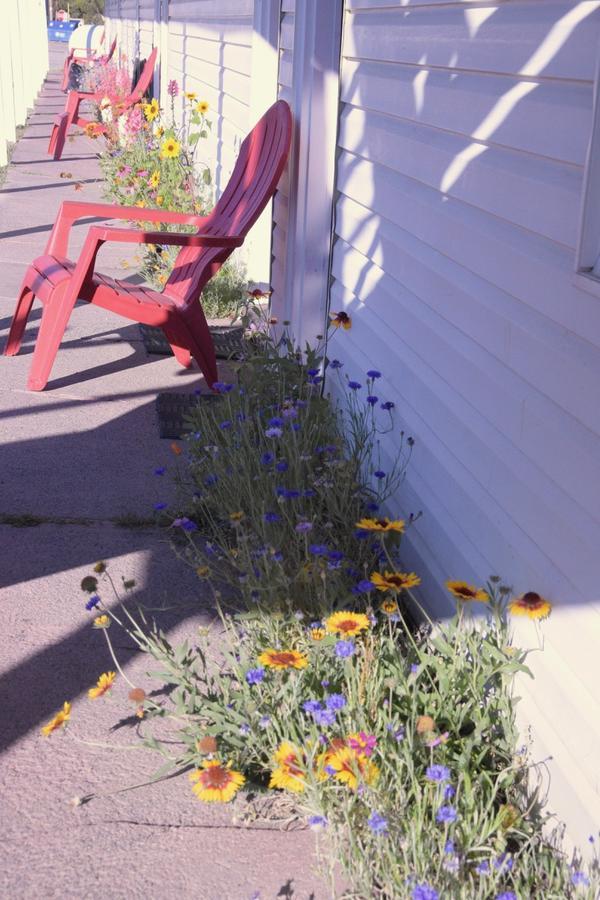 Yellowstone Holiday Motel 웨스트 엘로스톤 외부 사진